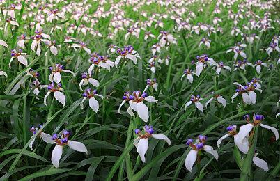 《仙剑奇侠传7》上架WeGame 优惠售价最高降30元